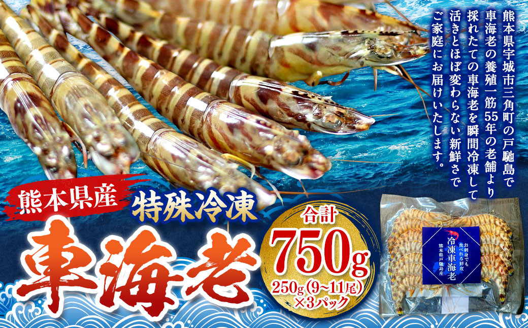 
            特殊冷凍 車海老 約750g（27～33尾） 3パック エビ 海老 えび クルマエビ 車エビ 養殖 瞬間冷凍
          