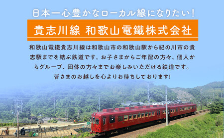 たま駅長Tシャツ＜L＞・たまニタマクリアファイルセット