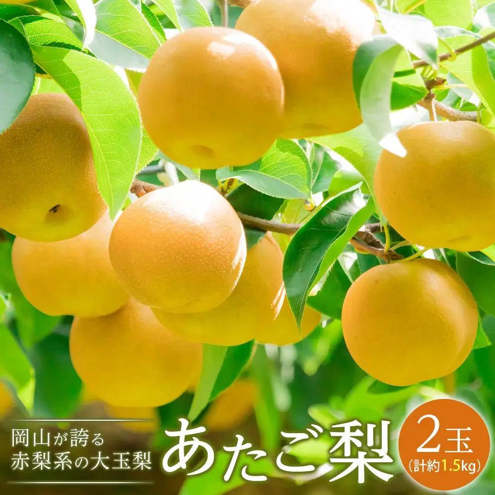 梨 2026年 あたご 梨 2玉（1玉約750g）合計約1.5kg  岡山県産 フルーツ 果物 ギフト
