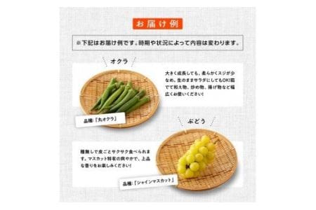 【定期便】産直おすず村 季節の野菜と果物 厳選 詰め合わせセット（小） 全4回【旬野菜 フルーツ 直売所 産地直送 宮崎県産】