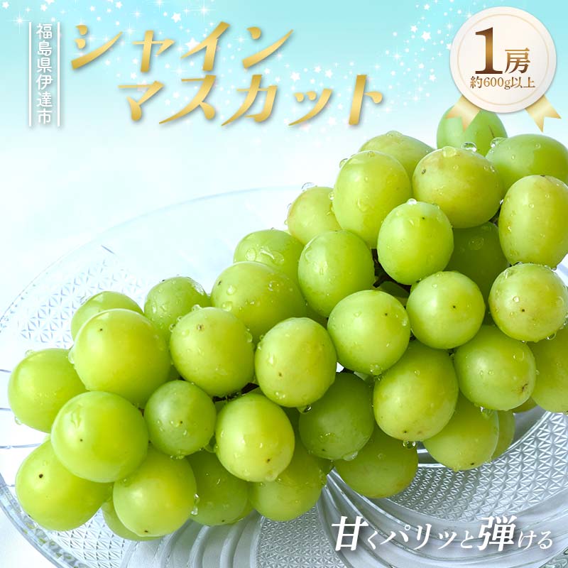 甘くパリッと弾ける シャインマスカット 約600g以上 1房 果物 ぶどう マスカット デザート 福島県 伊達市 F21C-421