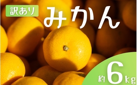 【訳あり】 森本農園の手選別 みかん 約6kg 和歌山県産 2S~2Lサイズ混合 【2025年11月上旬～2026年2月中旬ごろに順次発送】【mrmt009】 