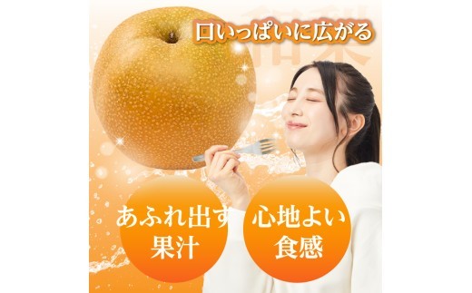 《先行受付》★山形産和梨（品種お任せ）★約3kg(6～12玉程度)秀品【2026年9月頃～順次発送予定】