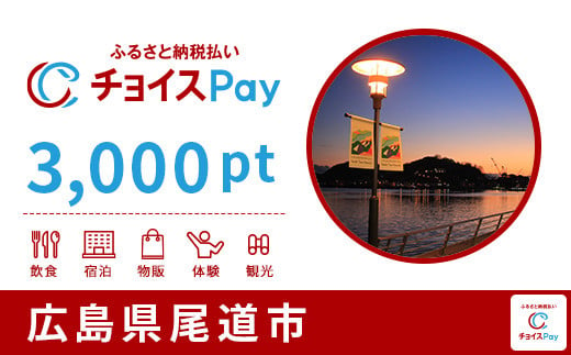 
尾道市チョイスPay 3,000pt（1pt＝1円）【会員限定のお礼の品】
