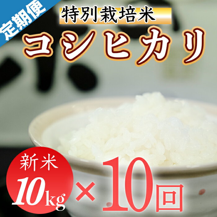 【ふるさと納税】令和7年産 (精白米)　特別栽培米　こしひかり10kg×10回配送　(1回/月）