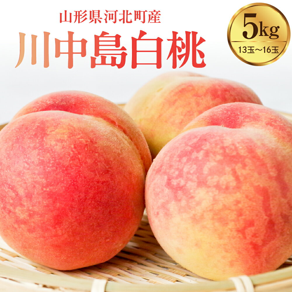 【ふるさと納税】 令和8年産 川中島 白桃 約5kg 特秀 ( 13玉～16玉 )| もも 桃 ピーチ 果物 フルーツ くだももの お取り寄せ 贈り物 ギフト 贈答送料無料 山形県産 山形県 河北町