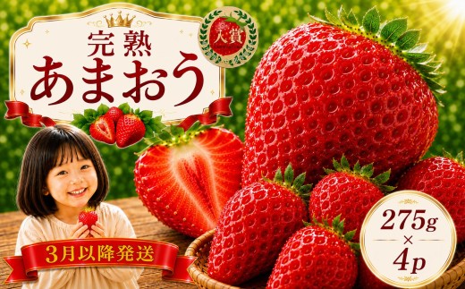【2027年3月下旬頃から発送予定】【先行予約! 数量限定】 福岡産 あまおう  ichigo strawberry  約1.1kg 約275ｇ×4パック セット いちご 苺 イチゴ フルーツ 果物 くだもの 春 旬 福岡 九州 福岡県 川崎町 あまおう いちご 苺 イチゴ 果物 くだもの フルーツイチゴ 苺 ichigo strawberry    国産