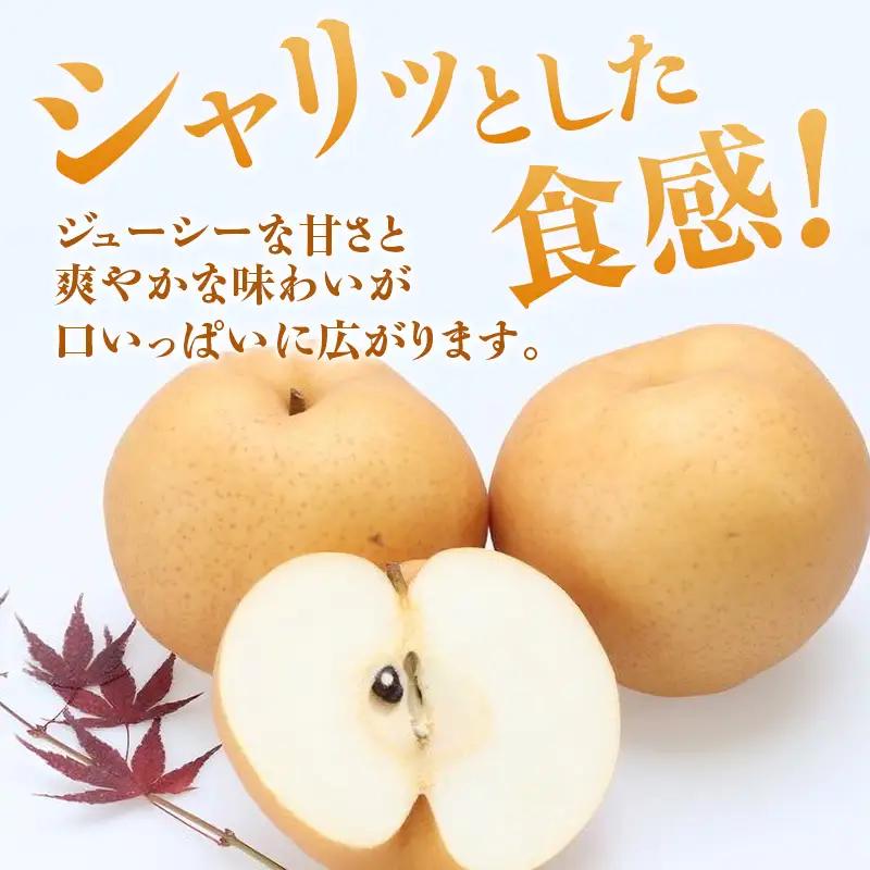 【2026年先行受付】 梨 あたご梨  秀品 約4kg(3～6玉)  梨