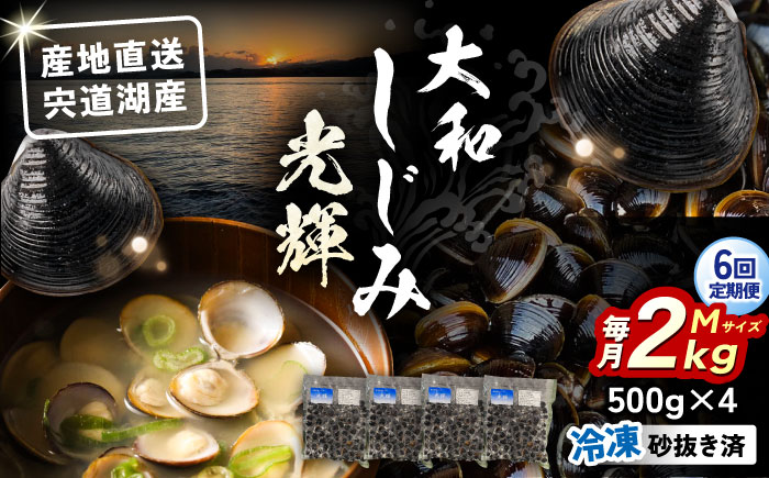 【全6回定期便】産地直送！宍道湖産 冷凍大和しじみMサイズ2kg(500g×4) 砂抜き処理済 島根県松江市/りすたむMatsue [ALDE008]