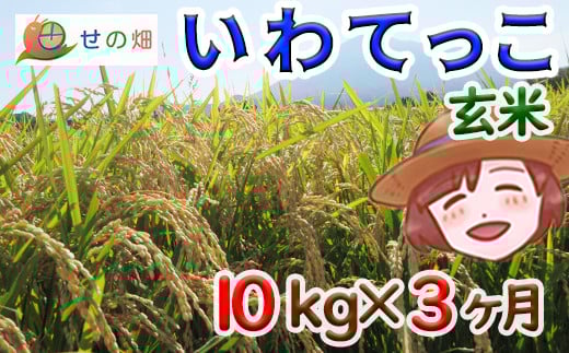 【令和7年産】 新米 11月中旬発送開始予定 いわてっこ 玄米 10kg×3ヶ月定期便 ／ せの畑 こめ 米 コメ お米 おこめ ご飯 ごはん げんまい おにぎり お弁当 仕送り お取り寄せ 産地直送 農家直送 単一原料米 国産 国産米 東北 岩手県産 八幡平市産 おすすめ 定期 定期便