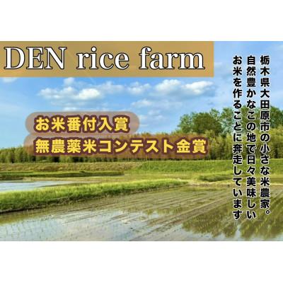ふるさと納税 大田原市 グルテンフリー無添加米麺 120g 10個セット |  | 03