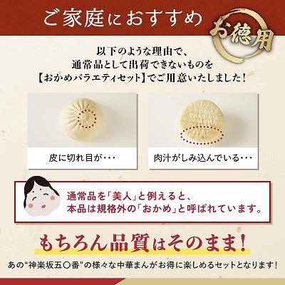 ふるさと納税 大崎町 【神楽坂五〇番】おかめ肉まんバラエティセット　計15個〜20個程度  (4〜5種類) |  | 02