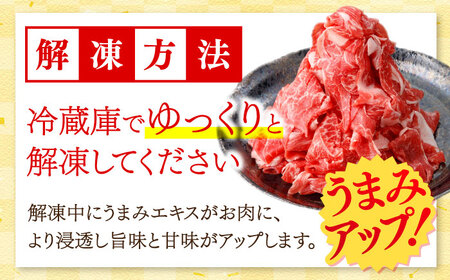 国産 黒毛和牛 熟成肉 切り落とし 500g / 小分け 国産牛 お肉 牛肉 切落し 冷凍 焼肉 すき焼き / 南島原市 / ふるさと企画[SBA094]