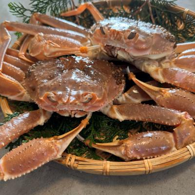 ふるさと納税 岩美町 鳥取網代港【訳あり】活!極上松葉ガニ1.5kgセット【さかなや新鮮組】 |  | 01
