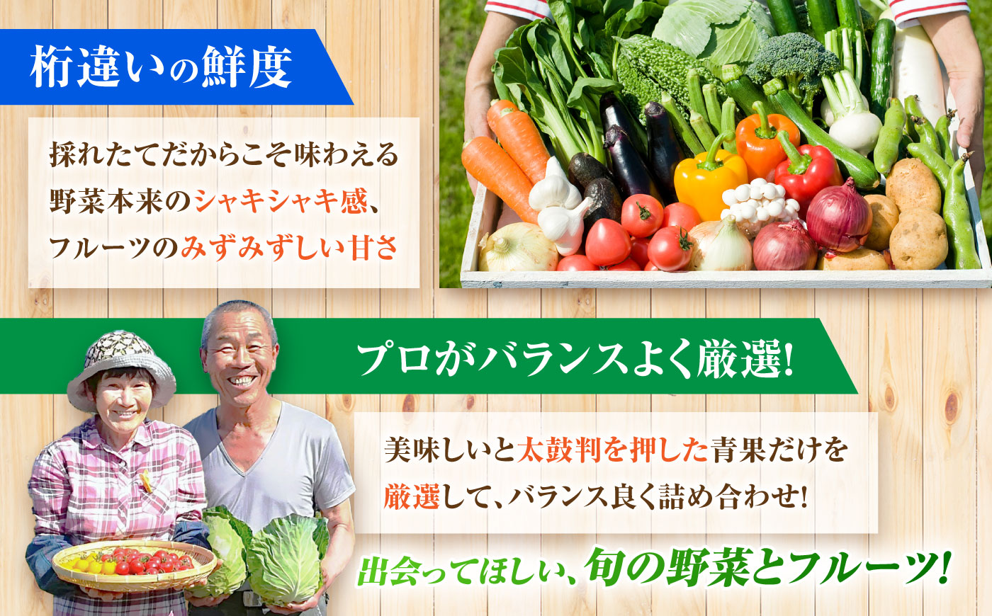 【6回定期便】【産地直送】長崎県諫早産 旬の野菜＆フルーツ詰め合わせ 9〜11品目程度 季節のおまかせセット / 野菜 フルーツ 果物 セット 詰め合わせ 旬野菜セット 旬のフルーツ 旬 食べ比べ 産