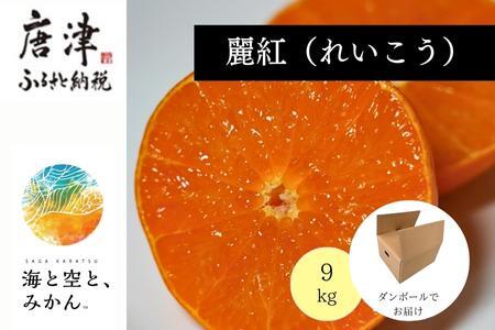 『予約受付』【令和7年2月上旬発送】唐津産ハウス育ち「麗紅」9kg ～海と空と、みかん～ ミカン 果物 フルーツ 柑橘 ギフト