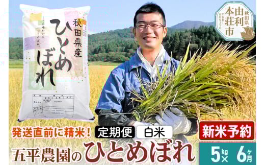 《新米予約》《定期便6ヶ月》【白米】ひとめぼれ 令和7年産 秋田県産 五平農園のひとめぼれ 5kg