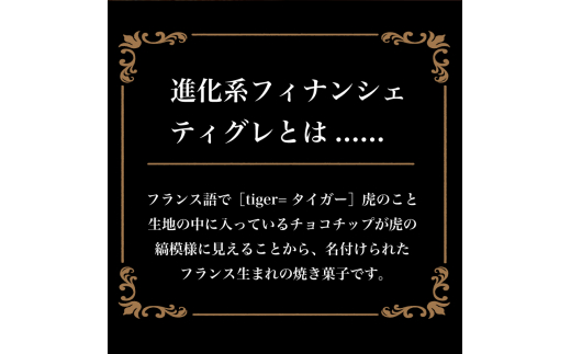 進化系フィナンシェ！ティグレ全12種類詰め合わせセット