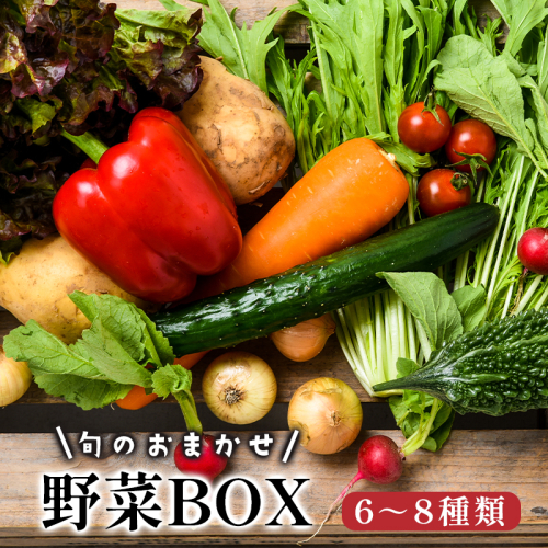 京都 舞鶴 季節の野菜BOX 詰め合せ セット 6～8種類 ： 季節の野菜 旬の野菜 旬野菜 新鮮 京野菜 食品 冷蔵 八百屋 厳選 産地直送 やさい ベジタブル ボックス 野菜セット