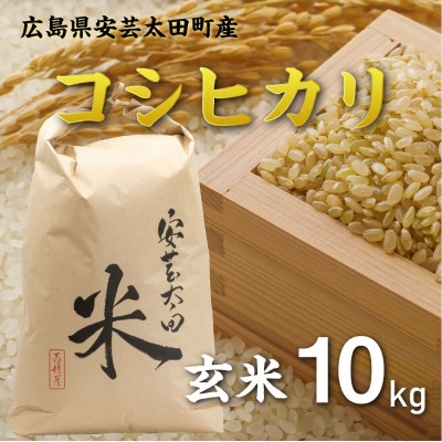 
                  【令和8年産】コシヒカリ　玄米10kg×1袋【1443662】
                