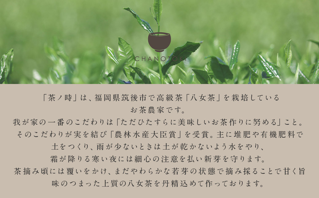 八女茶 4種類×各1袋 セット 煎茶 白折茶 玄米茶