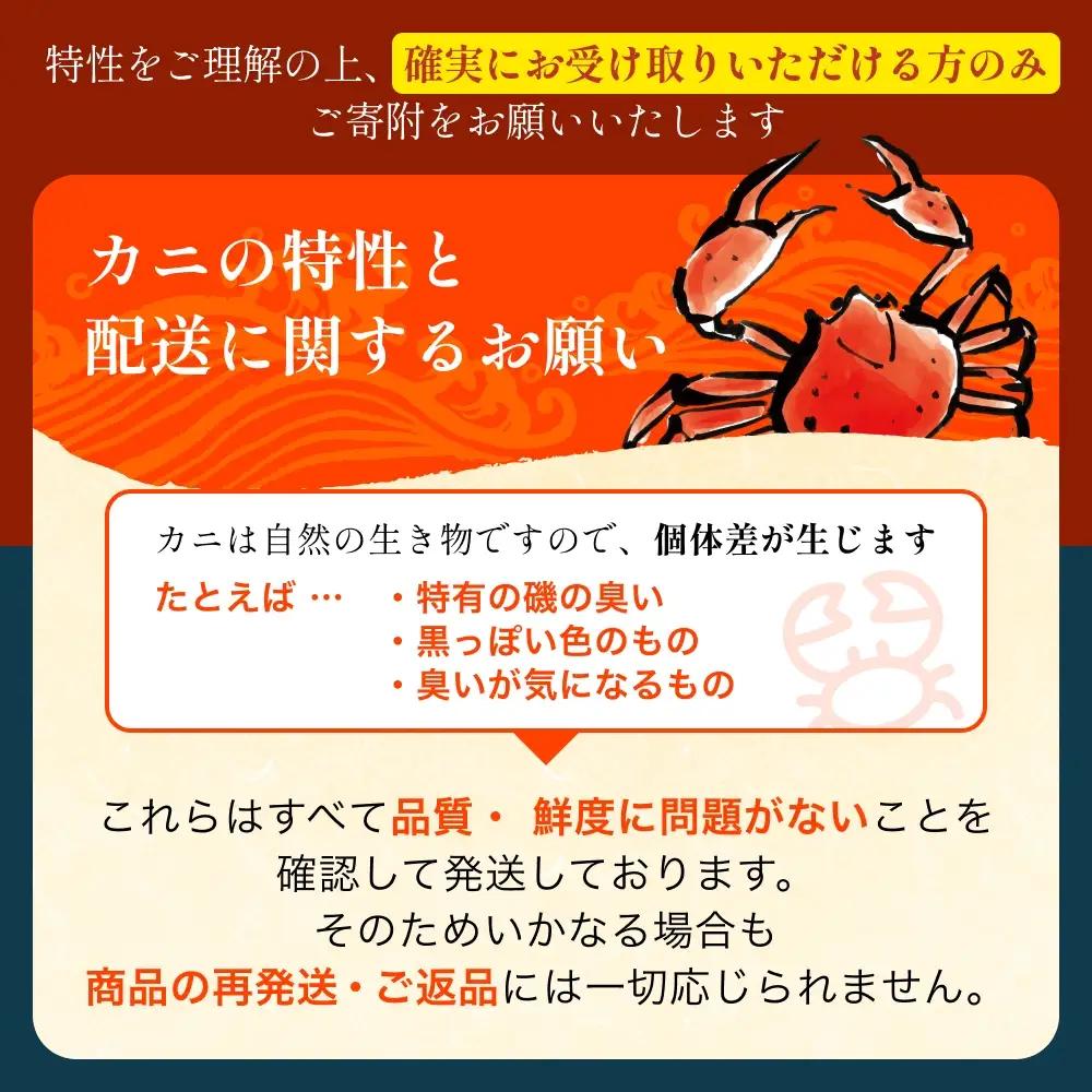 【先行予約】 ボイル紅ズワイガニ【26年10月以降順次発送】 | 蟹 カニ ズワイ
