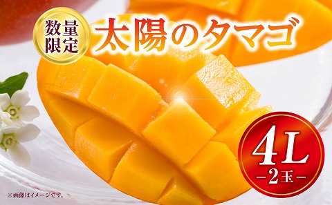 《2025年発送》【期間・数量限定】太陽のタマゴ 4Lサイズ 2玉_M354-001-03