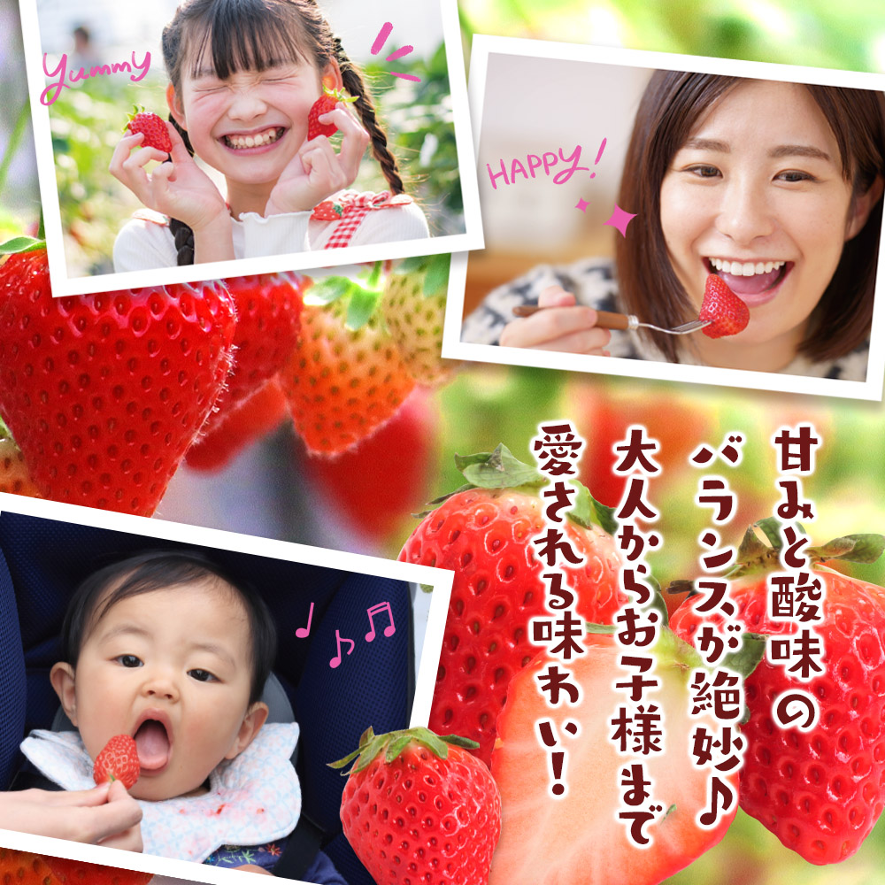 【2026年3月配送開始】福岡・博多名物ブランドいちご「あまおう」4パック 合計約1,080g＜配送不可：北海道・沖縄・離島＞
