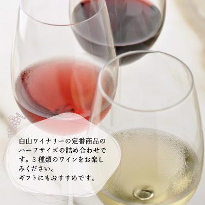 ふるさと納税 大野市 レギュラーワイン ハーフ 3本セット 飲み比べ 【お中元】 |  | 01