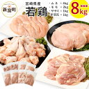 【ふるさと納税】宮崎県産 若鶏8kgセット 鳥肉 もも肉 2kg むね肉 4kg ささみ 1kg 手羽元1kg 国産 送料無料 ※90日以内出荷