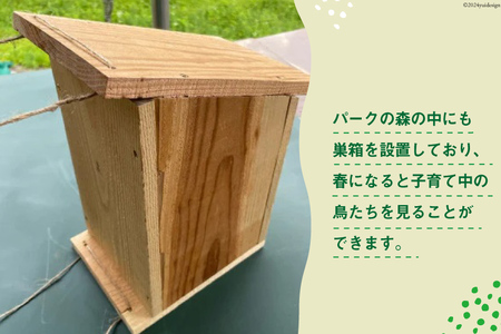 工作 鳥の巣箱キット 1セット 夏休み 自由研究 宿題
