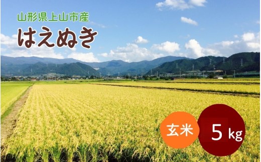 【2026年11月～発送】令和8年産 山形県産 米 はえぬき (玄米) 5kg 0079-2643