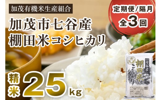 【令和7年産】【定期便3回隔月お届け】七谷産 棚田米 コシヒカリ 精米 25kg（5kg×5）《順次出荷》 白米 加茂有機米生産組合 新潟県 加茂市産 白米 米 お米 定期便