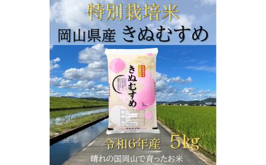 SS-128　【お米　特別栽培米　特Aランク】岡山県産「きぬむすめ」5kg（令和6年産）