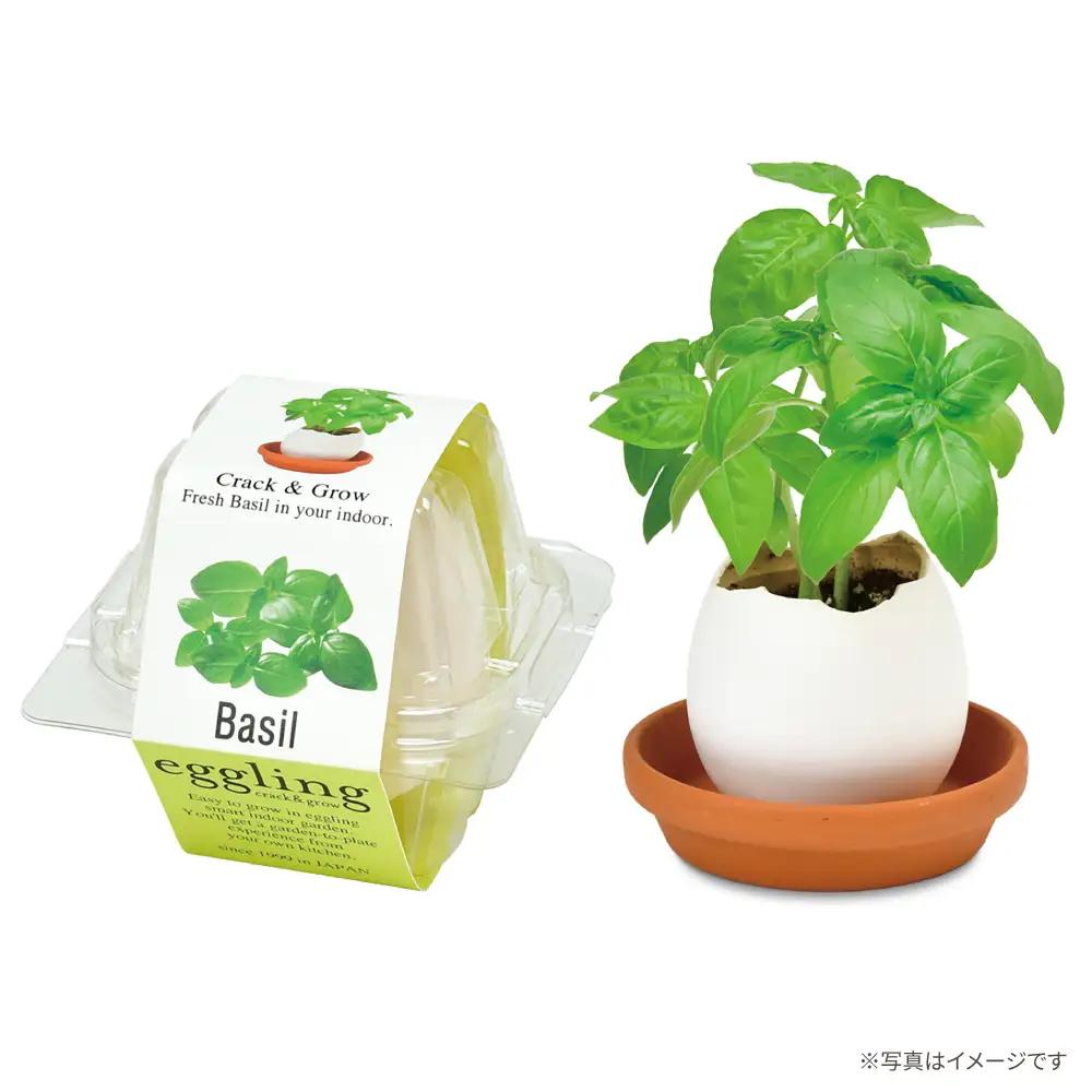 エッグリング クリアパッケージ 2個（バジル、クローバー） / 栽培キット 園芸 ハーブ / 瀬戸市 / 聖新陶芸[BBEK003]