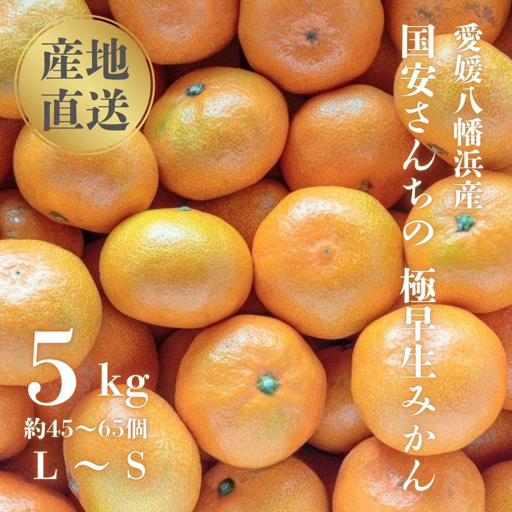 【ふるさと納税】【創業85年 親子4代 愛媛みかん 一筋】愛媛八幡浜産 極早生みかん 5kg【C20-43】_【1594908】 YWTI038