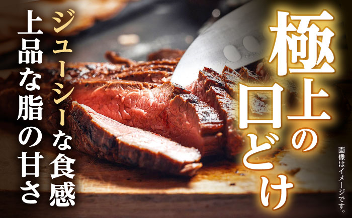 【6回定期便】サーロイン ステーキ 400g（200g×2枚） / サーロインステーキ 長崎和牛 A4～A5ランク 希少部位 / 諫早市 / 野中精肉店 [AHCW028]