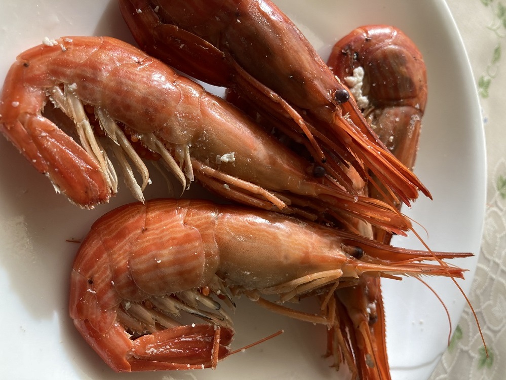北海縞海老 シマエビ 北海縞えび 国産 500g 33尾前後 しまえび 冷凍 えび エビ ボイル済み  Mサイズ