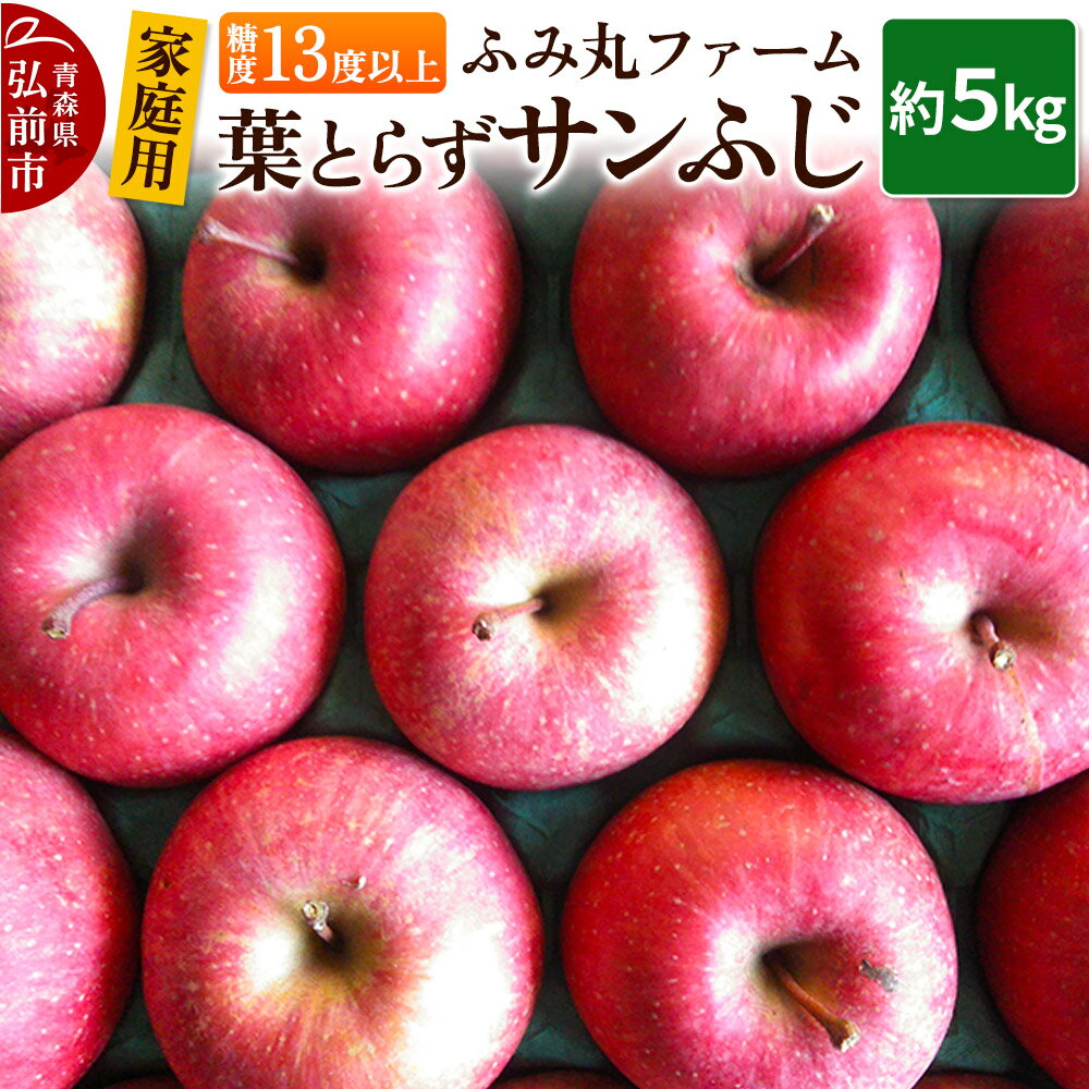 【ふるさと納税】りんご【家庭用】葉とらず サンふじ 約5kg 糖度13度以上