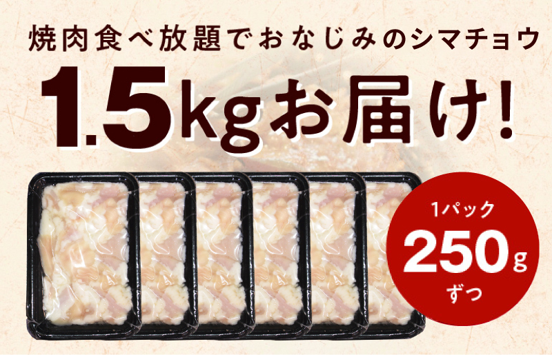 【焼肉屋の定番】シマチョウ 塩だれ漬け 1.5kg 小分け 250g×6 牛肉 ホルモン 焼肉用  010B1409_イメージ2