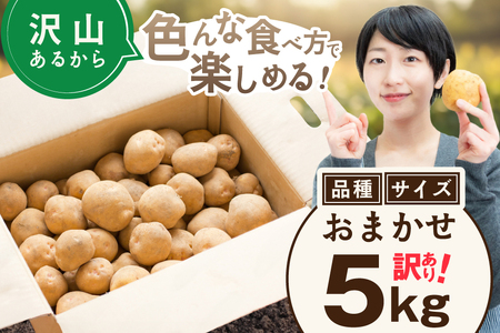 2025年10～12月発送 北海道別海町産 じゃがいも5kg(１種おまかせ)（きたあかり、ワセシロ、男爵、メークイーン、レッドムーン）