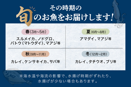 【定期便】浜田の旨い鮮魚12か月お届けコース 海鮮 セット 海鮮 【006_2044】