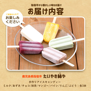 手作り アイス キャンディー 24本(たいやき絲や/A-398) 昔なつかしい アイス 手作り アイス 人気 アイス