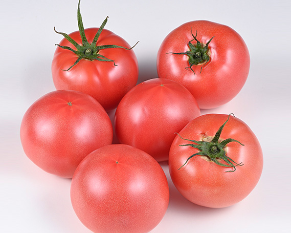 志宝トマト 約 4kg [モアショップヤマモト 石川県 宝達志水町 38600650] トマト とまと 野菜 食品 石川県産_イメージ3