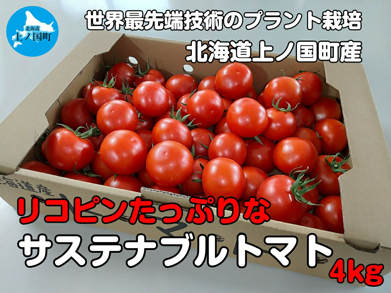 【ふるさと納税】北海道上ノ国町産 寅福菜園の高リコピントマト「サステナブルトマト」　4kg　とまと　産地直送　プラントハウス　北海道産　完熟 リコピン