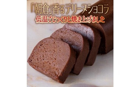 チョコレート ケーキ ガトーショコラ 1本 約170g チョコレート