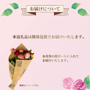 バラ 花束 10本 色 おまかせ ミックス お家用 ローズ フラワー 花 ブーケ 薔薇 新鮮 ばら 高品質 綺麗 おもてなし ご褒美 花束 フラワーアレンジメント 草花 誕生日 記念日 母の日 父の日
