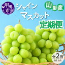 【ふるさと納税】 定期便 2回 シャインマスカット 2房 約1kg フルーツ 大粒 旬 マスカット 人気 高級 新鮮 フレッシュ 種無し ぶどう 葡萄 ブドウ 果物 種なし 山梨県産 2025年 産地直送 化粧箱入り ギフト 贈答 山梨 甲州市 (VYD) 【C2-885】