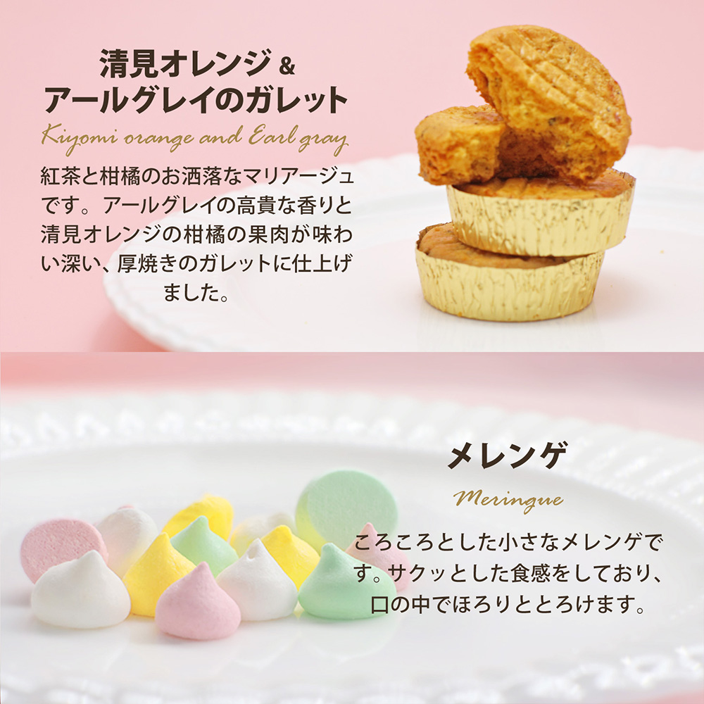 渋谷西村 プレミアムフルーツクッキー mini【036015】