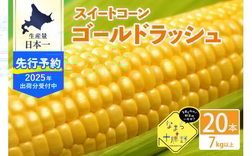 【2025年分先行予約】北海道十勝芽室町 スイートコーンゴールドラッシュ20本 me001-020c-25